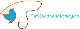tuitquedadamicologica